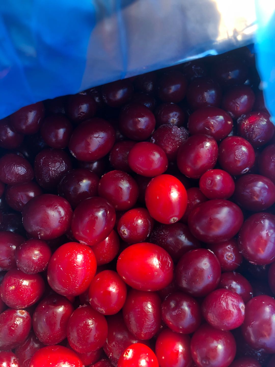 北美进口 蔓越莓整果冷冻原料 果浆果汁原料