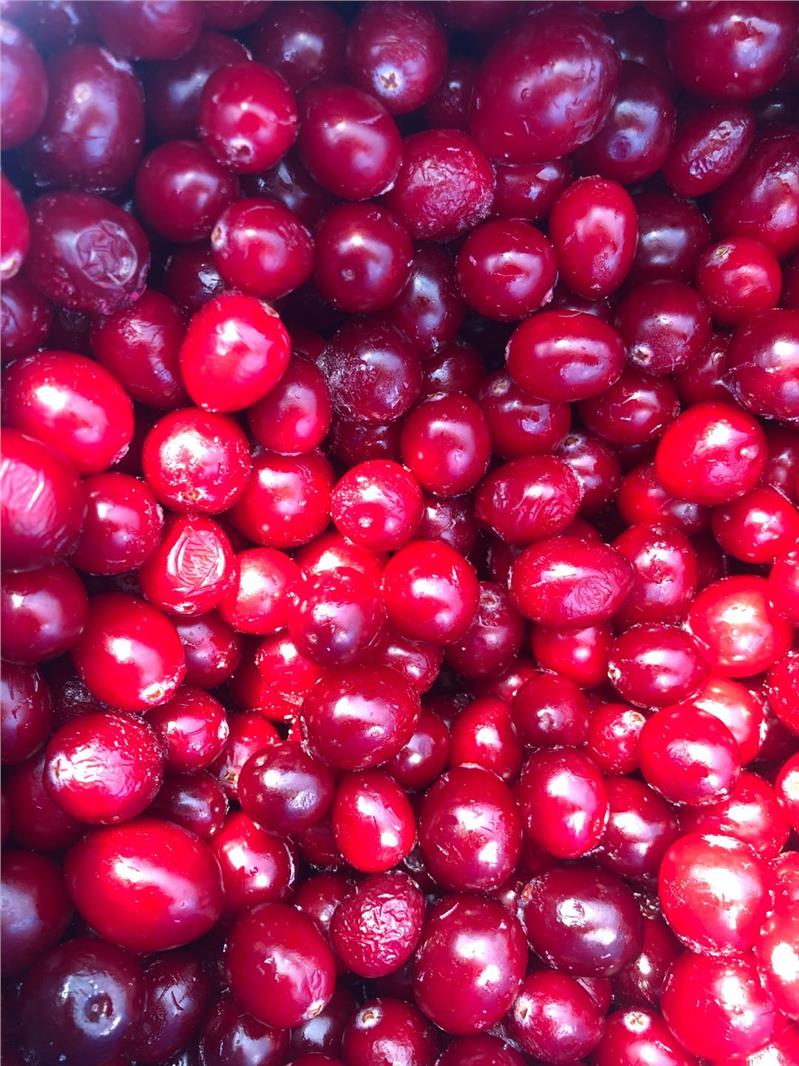 北美进口冷冻蔓越莓原料