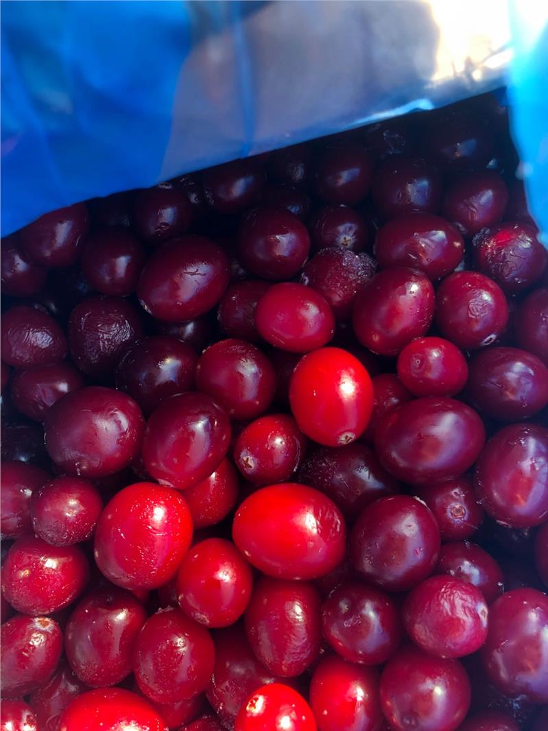 北美进口冷冻蔓越莓原料