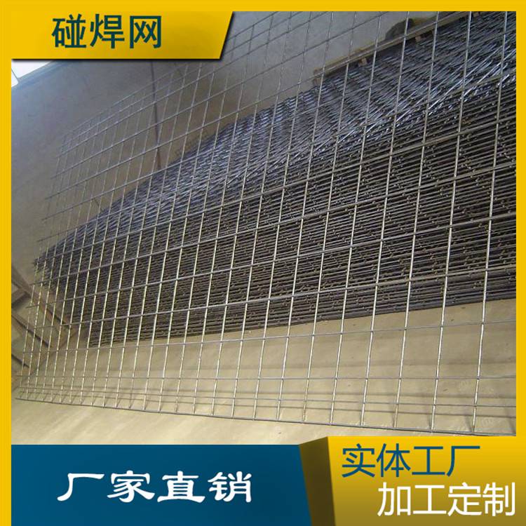 龙宇建筑丝网铁网 防鼠养鸡网 热镀锌铁丝电焊网