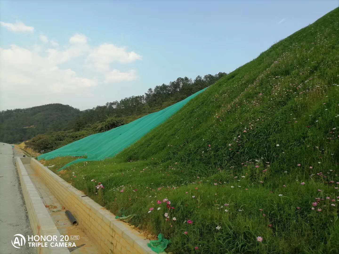 陕西采石矿场边坡生态恢复喷播绿化团粒剂
