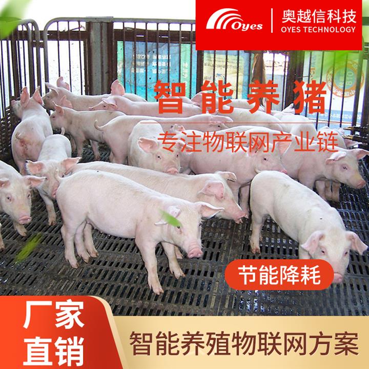 智能猪舍 养猪的技术 智能化的养猪