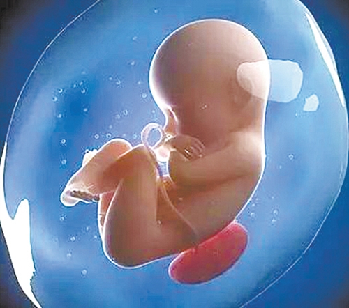 巴林左旗孕期无创胎儿亲子鉴定