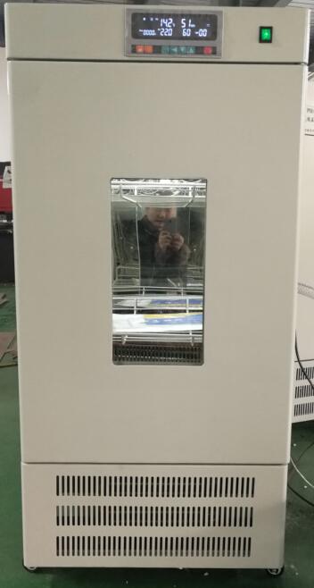 恒温恒湿养护箱HWS-150B高低温试验箱
