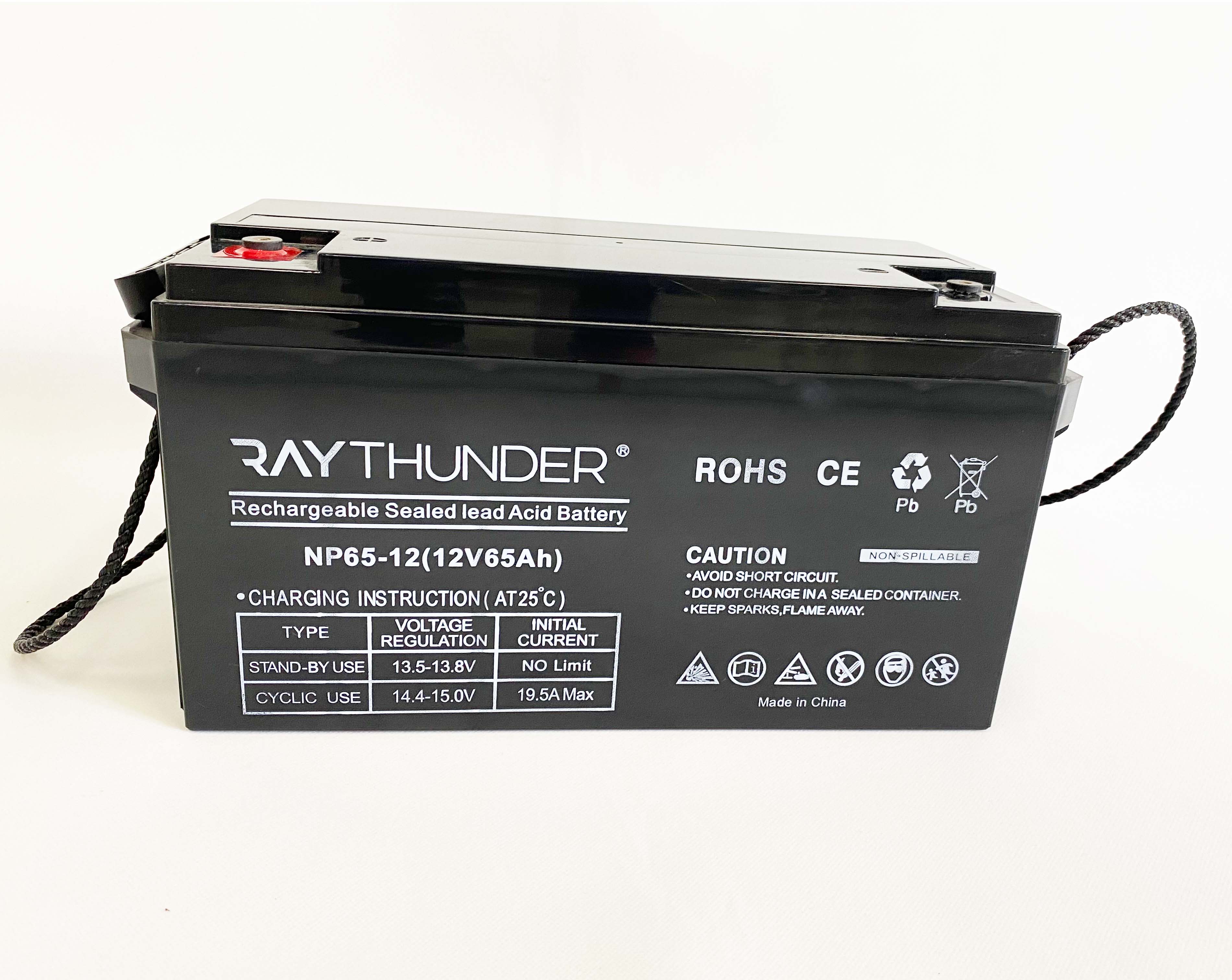 瑞盛12V55AH 铅酸蓄电池 汽车电瓶 储能蓄电池 启动型铅酸蓄电池