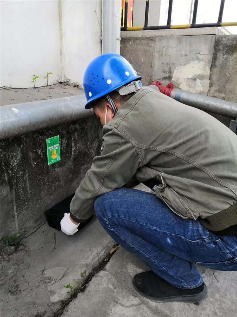 雅安餐馆除鼠服务