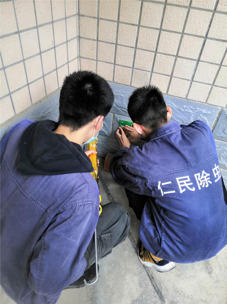 简阳幼儿园除鼠服务公司