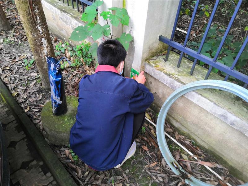 眉山餐廳除鼠服務機構