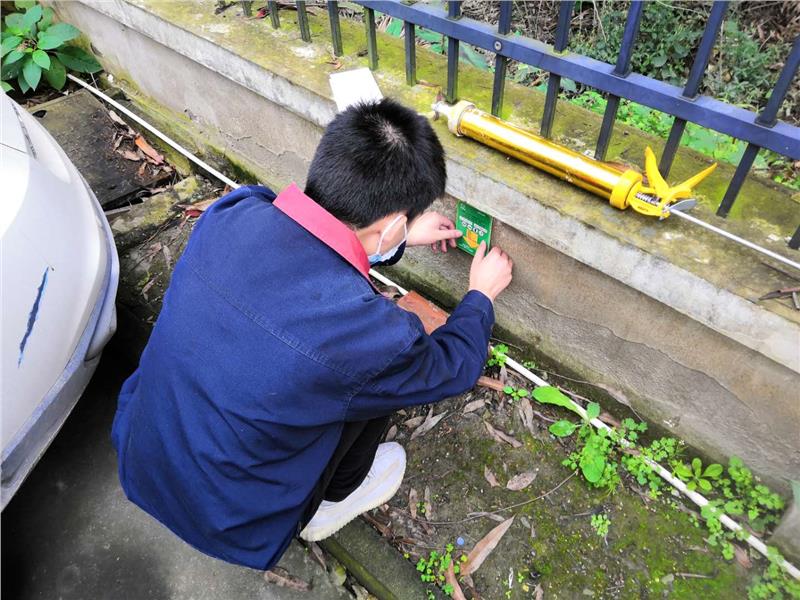 温江酒店灭鼠服务单位