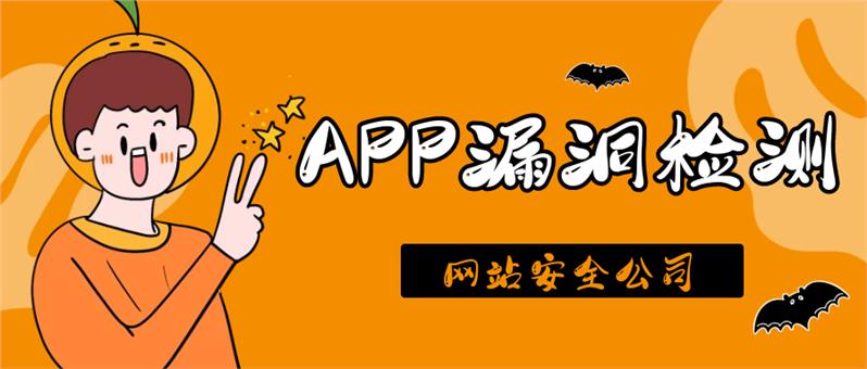 app漏洞渗透测试服务