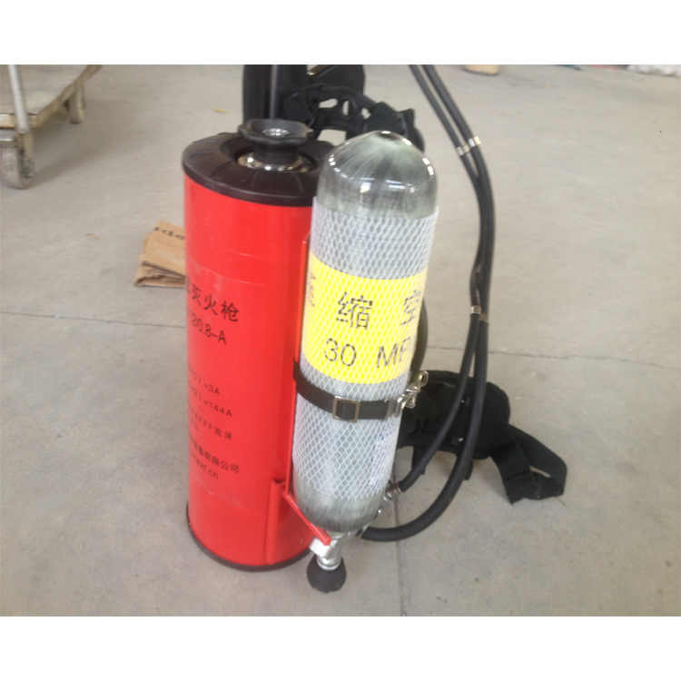 厂家供应PYQ-10型背负式压缩气体泡沫灭火装置价格优惠
