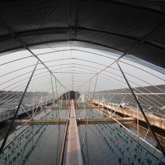 莱芜水产品养殖大棚造价 工程承接