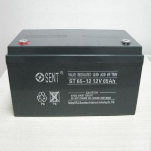 SENT蓄电池电源储能全系列逆变胶体供货
