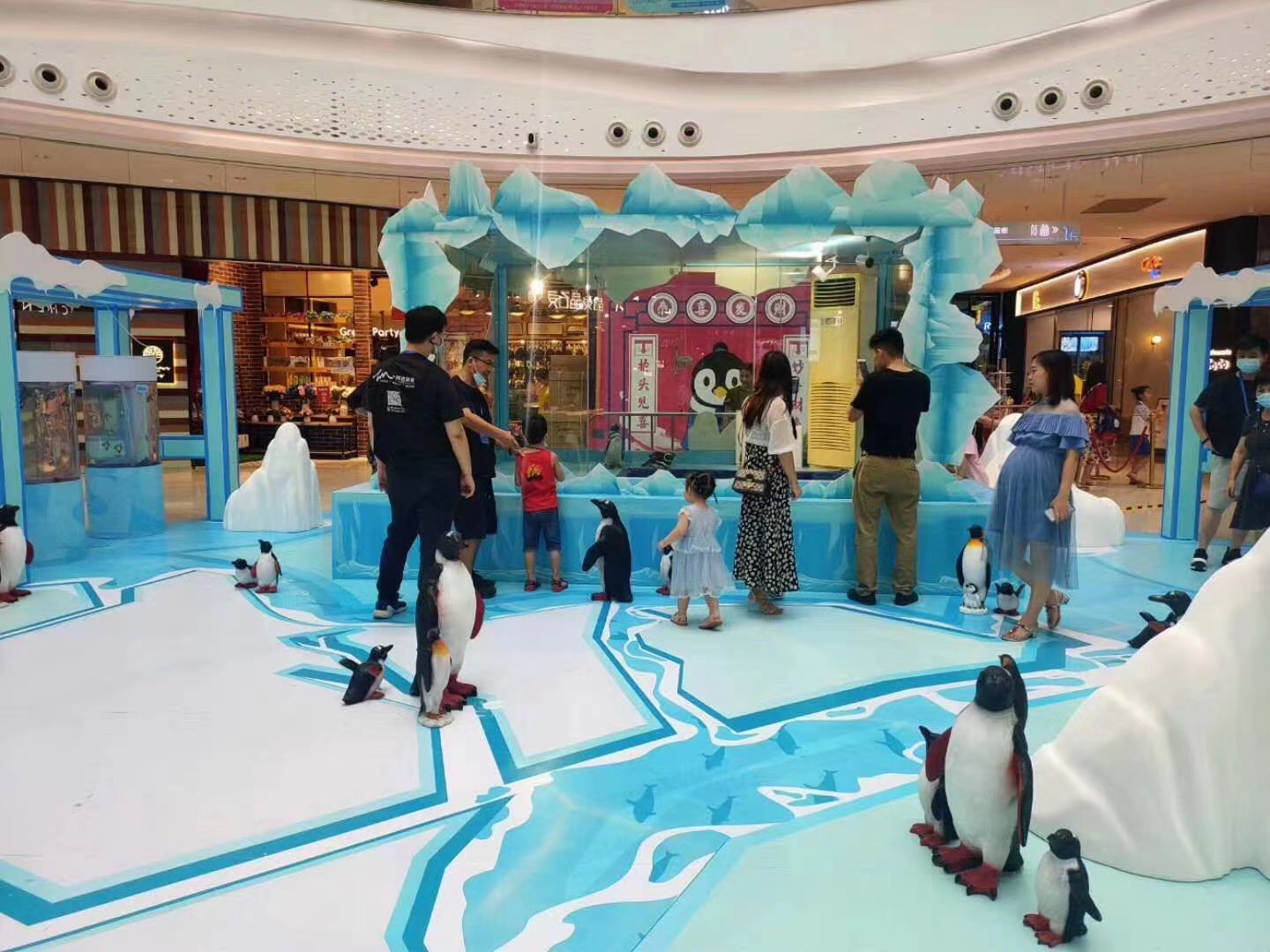 淮南海狮表演企鹅展览现场