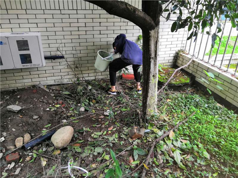 绵阳除鼠服务单位