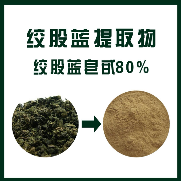 绞股蓝提取物 绞股蓝皂甙80%