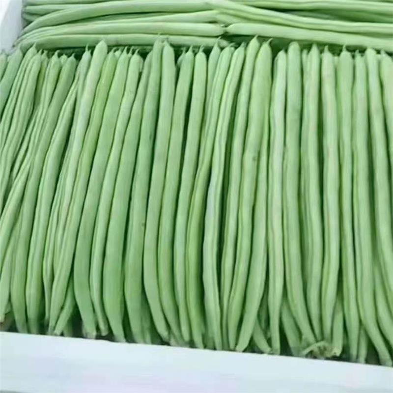 深圳蔬菜配送