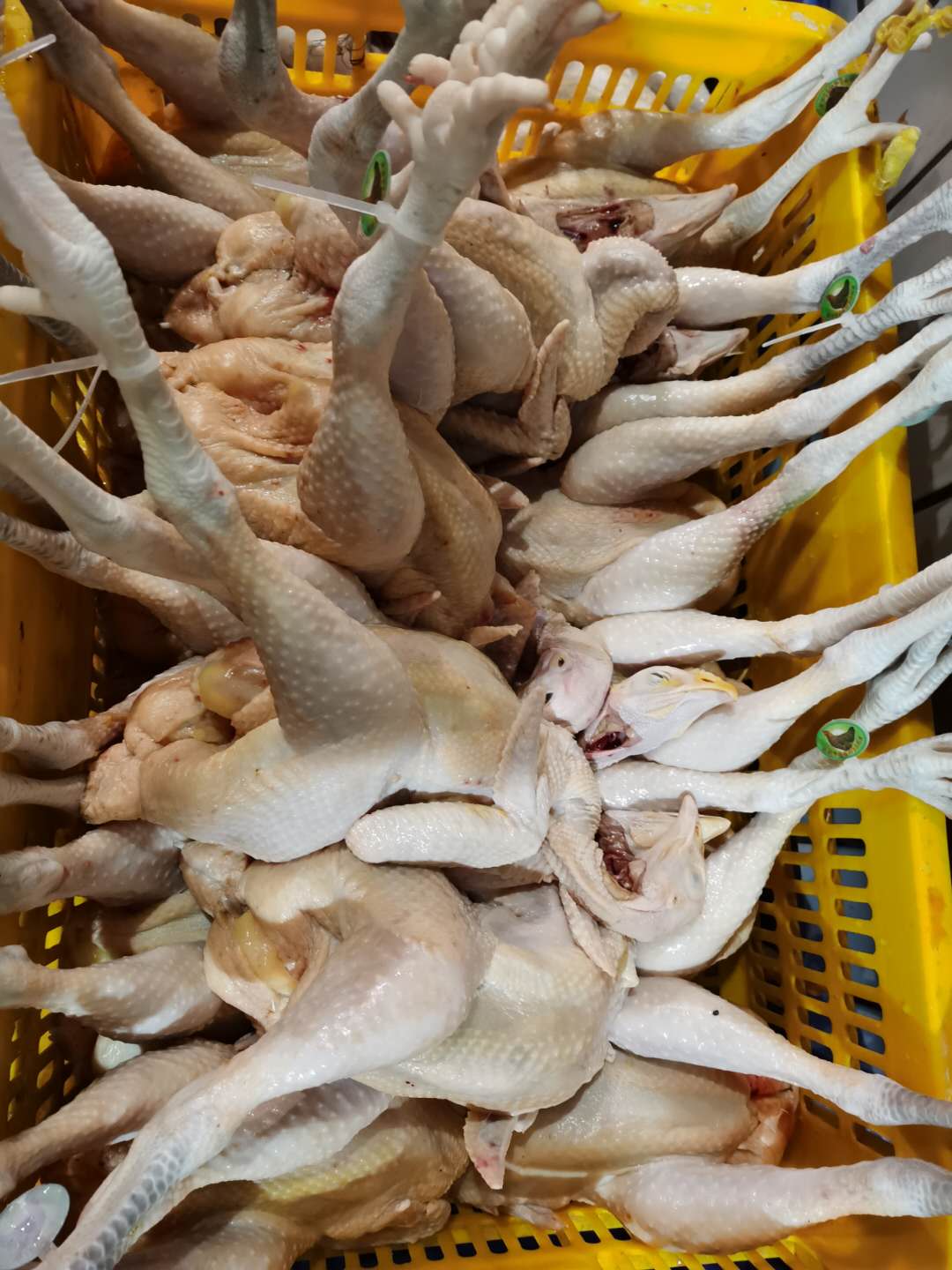 长安乌沙新鲜肉类配送供应商 东莞市联旺膳食管理服务有限公司