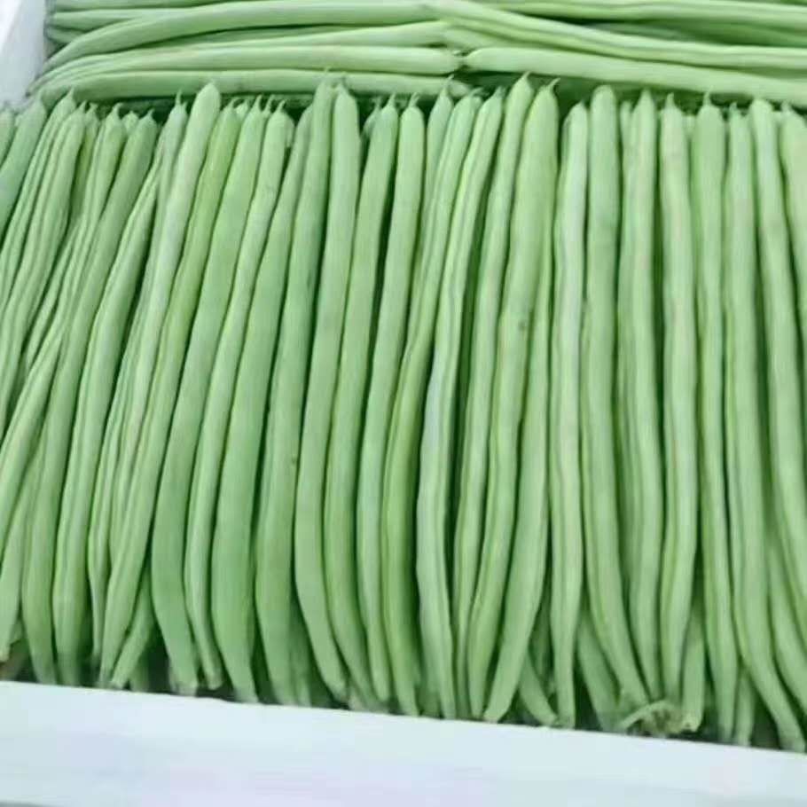 南湾蔬菜配送公司 东莞市联旺膳食管理服务有限公司