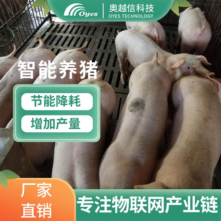 智能养猪设备 智慧养猪 养猪的技术