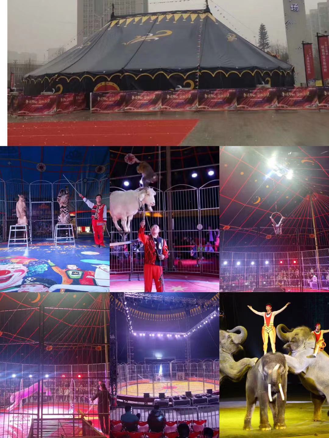 大型马戏团价格马戏表演全套出租环球飞车各种杂技表演全国供应
