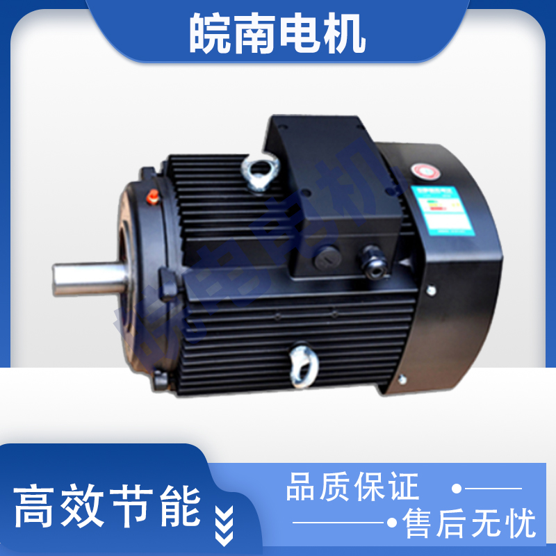 来宾皖南电机销售处 多级泵电机 可非标定制