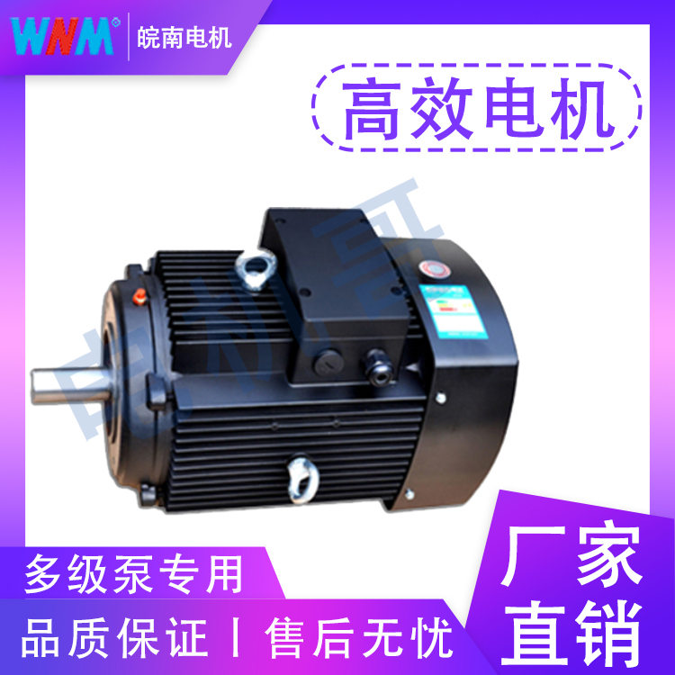 江门皖南电机 多级泵电机 适用于煤炭