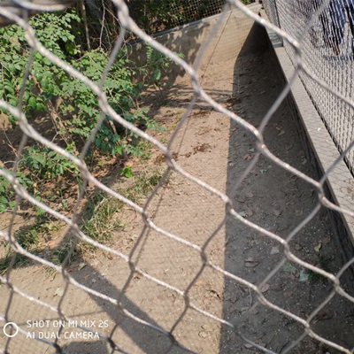 不锈钢绳网动物园用防护网卡扣安全围网
