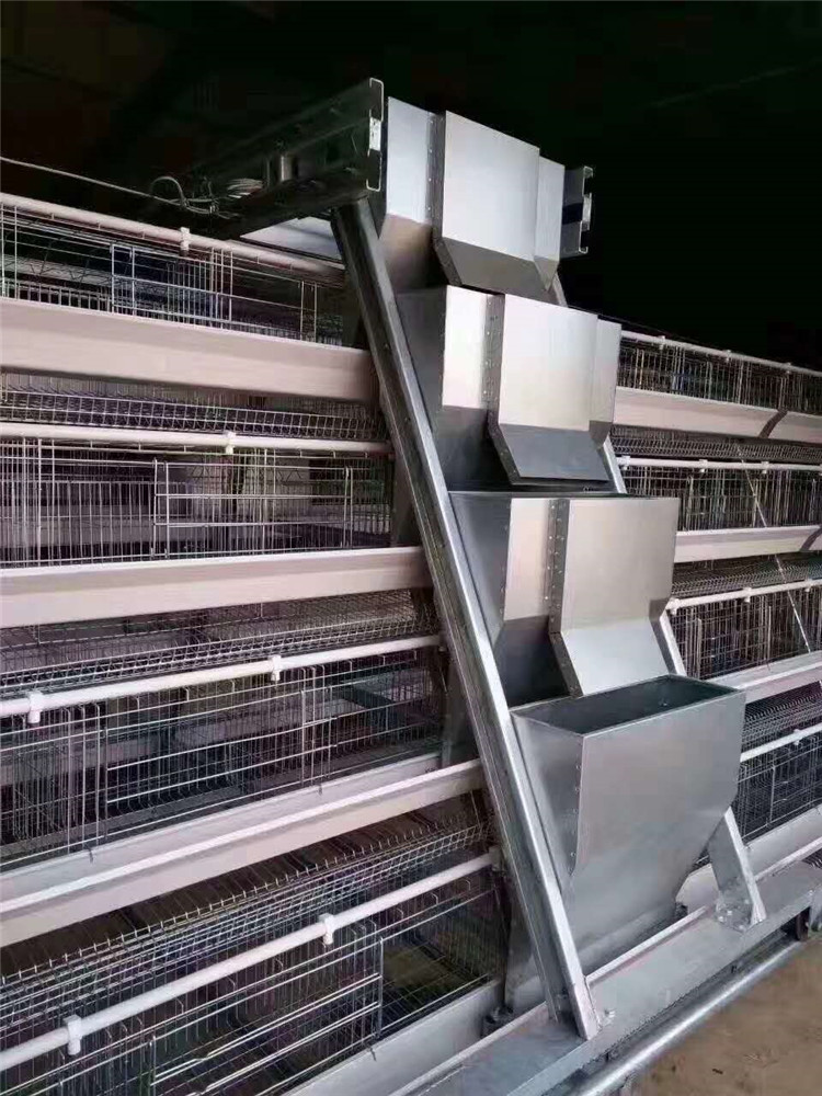 自动化小鸡笼 长沙三层蛋鸡笼厂家 自动化养鸡设备