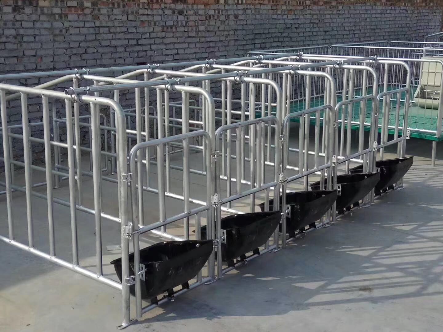 母猪围栏产床保育床两用定位栏限位栏分娩床养猪场全套设备