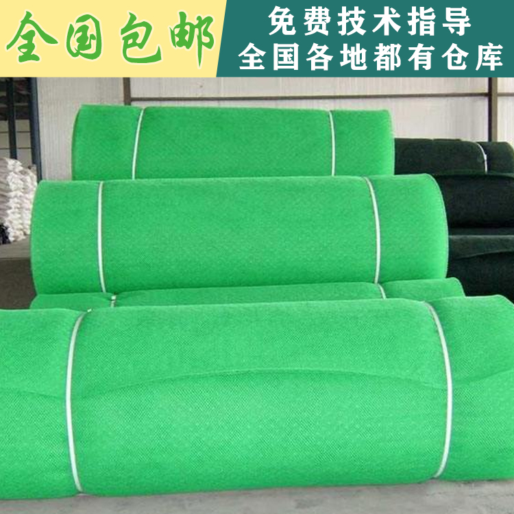 江西南昌厂家现货供应三维植被网绿色 EM4植被网 护坡复合排水网