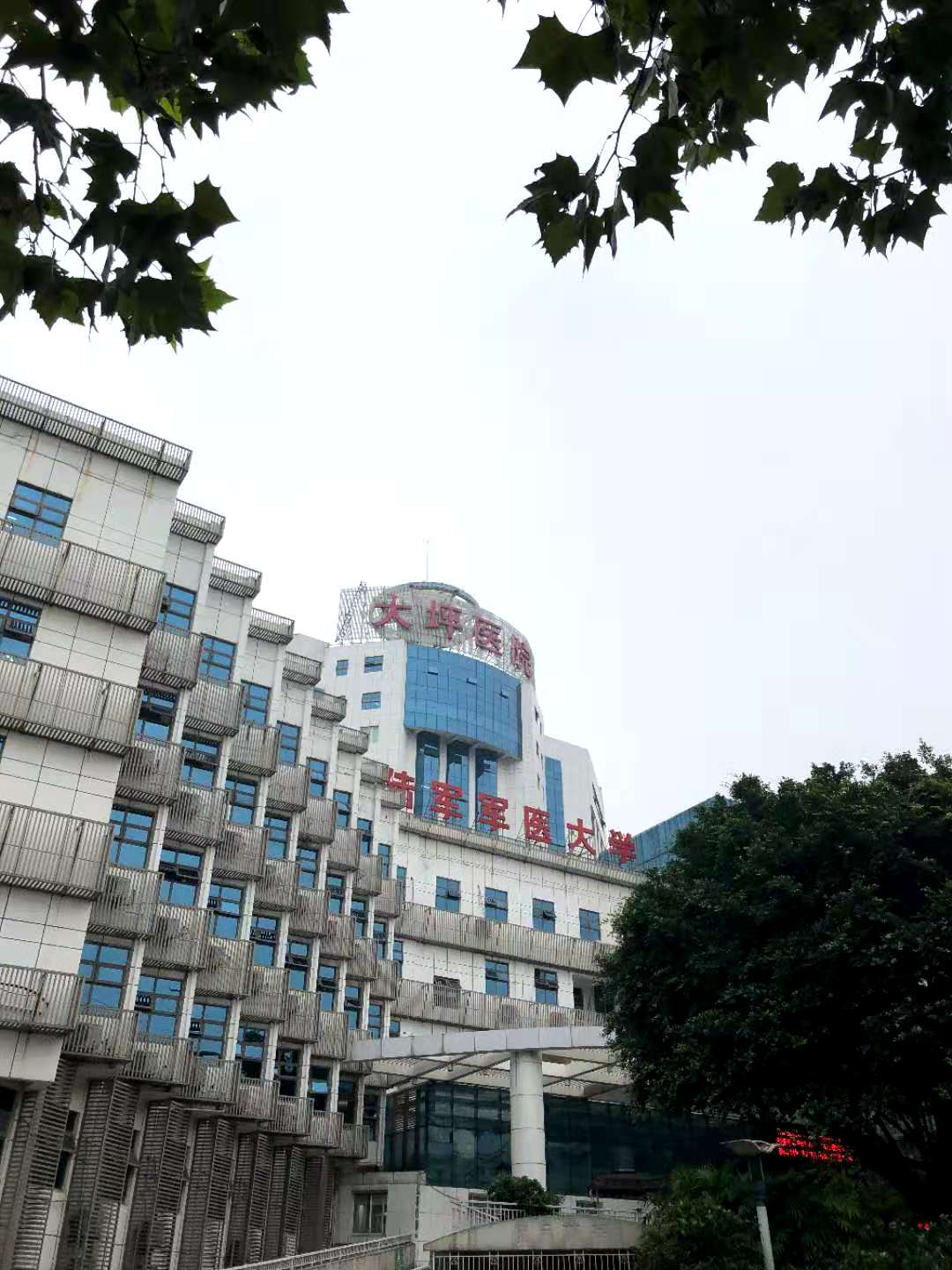 重庆陆军军医大学大坪医院引进脑循环功能障碍治疗设备