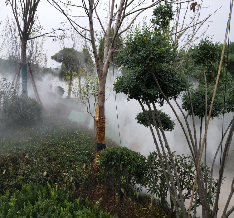 邢台花园景观造雾设计