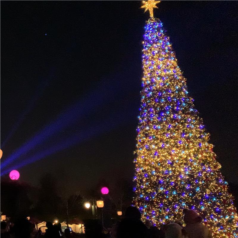 钢构圣诞树厂家