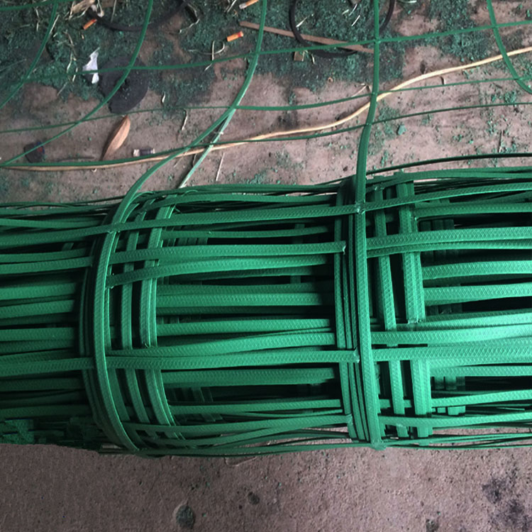 绿色植物攀爬网爬藤网护山铁丝挂网钢塑土工格栅