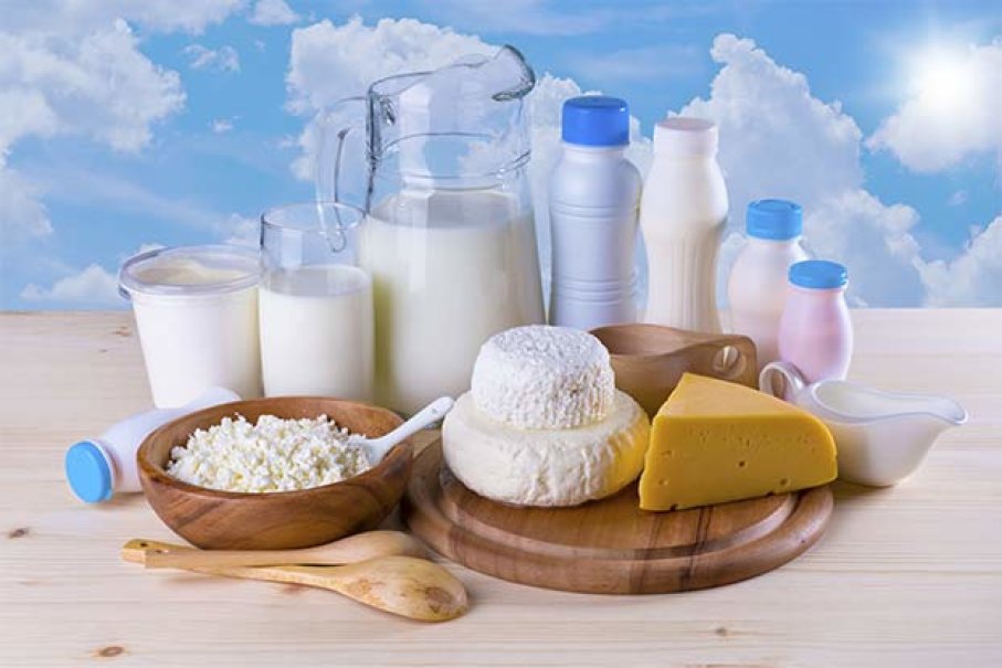 酸奶 炼乳食品检测 沙门氏菌卫生指标检测