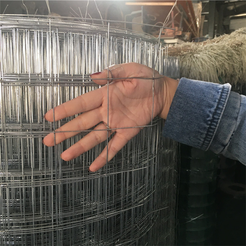 亚奇生产厂家-钢丝网-太原冷镀锌电焊网电焊网厂家