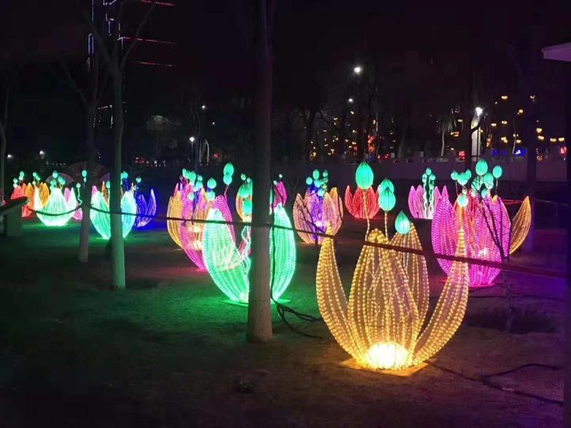 户外造型灯_荷花蜻蜓发光动物灯-公园造型灯-案例图
