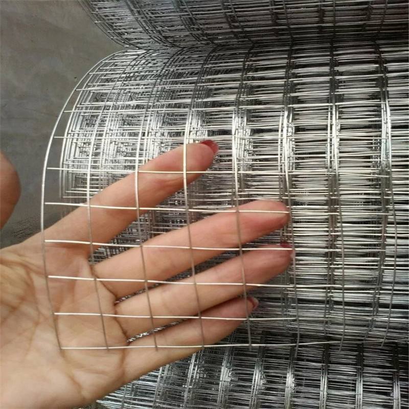 不锈钢电焊网批荡网-防裂铁丝网