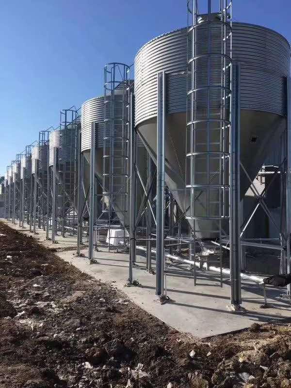 养殖镀锌板饲料塔、自动化养殖料线设备批发厂家