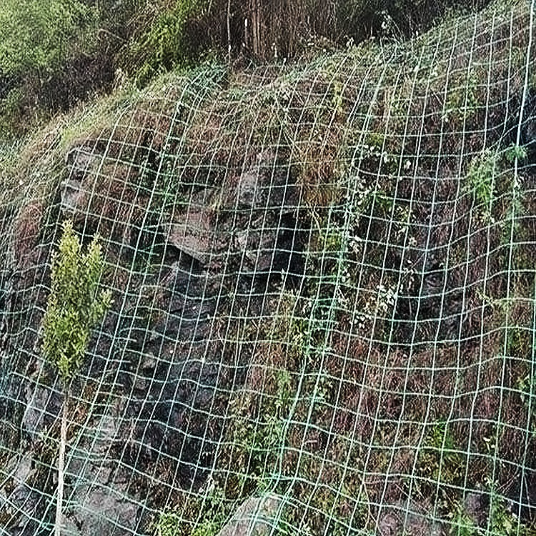 绿色植物攀爬网爬藤网上体绿化挂网钢塑土工格栅