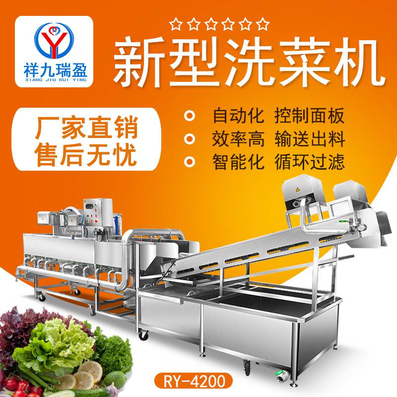 祥九瑞盈不锈钢洗菜机 多功能商用 叶菜洗菜机厂家 蔬菜清洗机