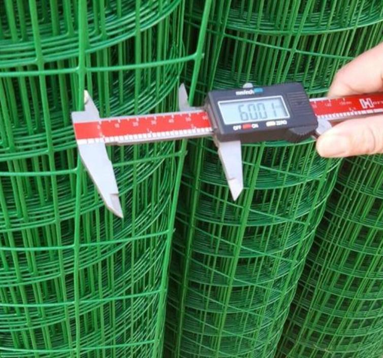襄樊铁丝养殖网荷兰网规格齐全|绿色围栏网
