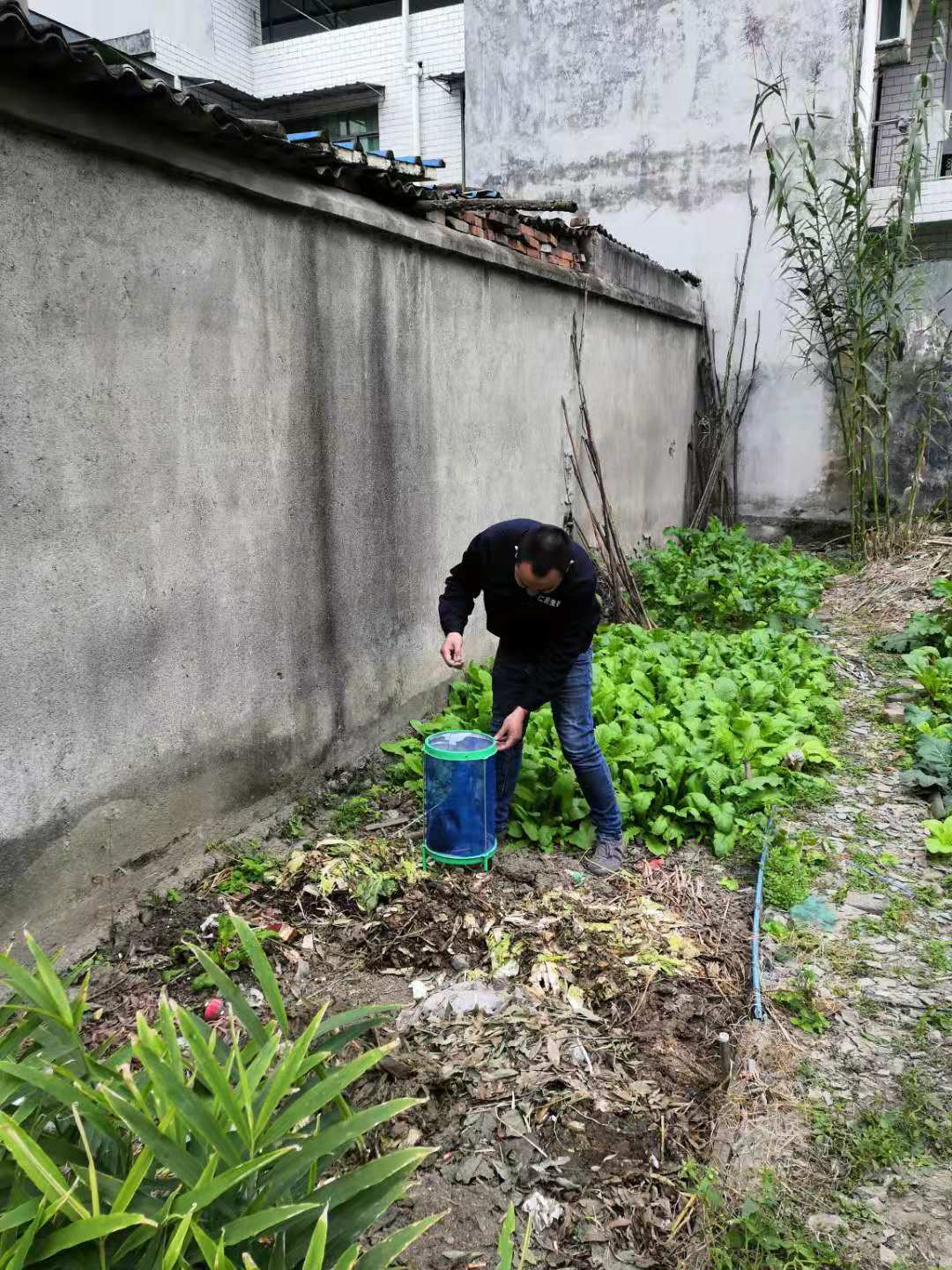 眉山灭鼠服务-上门灭老鼠-多年消杀经验