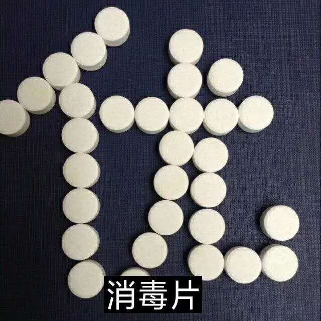广州现货I泡腾片10% 杀菌消毒剂 消毒片