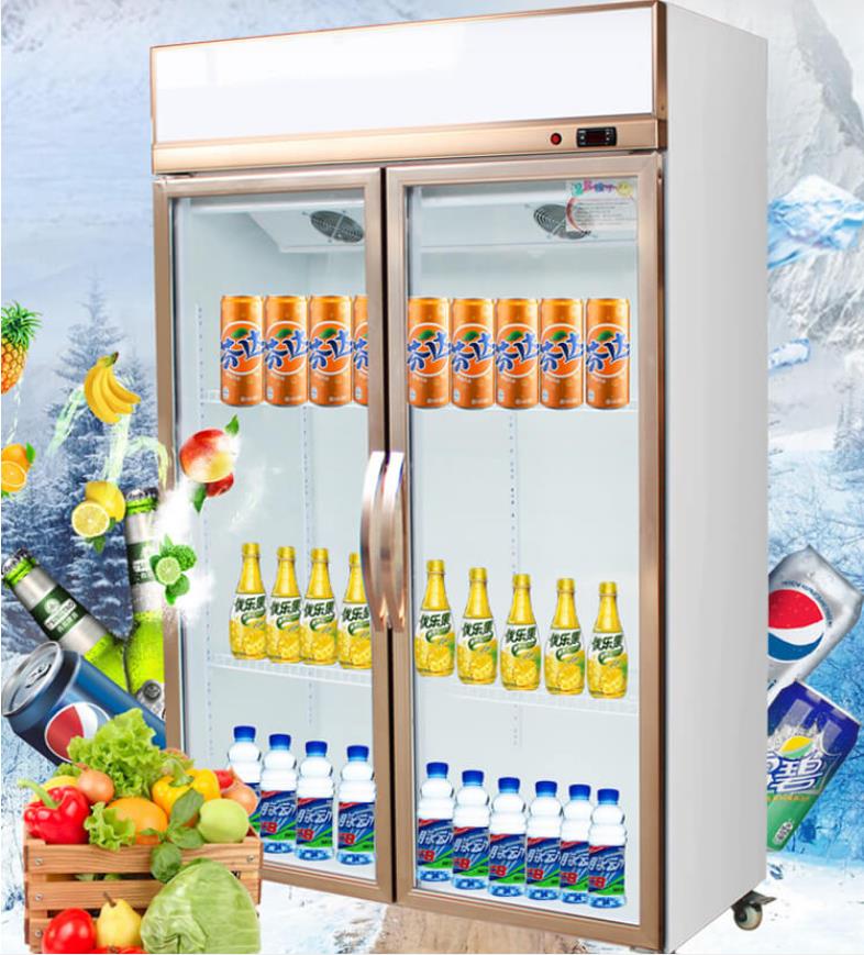 河北供应商用冷柜 双门豪华型饮料柜 玻璃门冷藏展示柜
