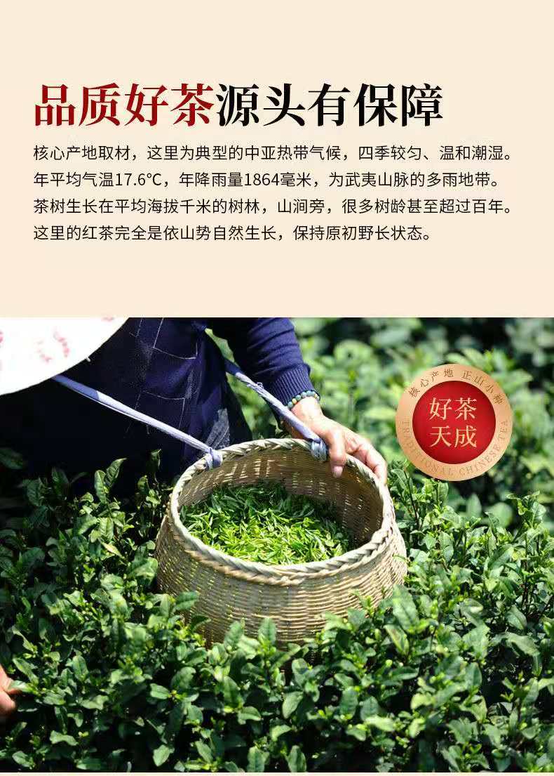 正山小种红茶茶叶礼盒装罐装2020新茶浓香型春茶共500g