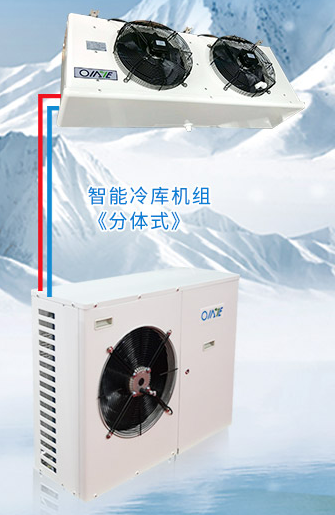 江苏欧莱特智能冷库机组OLTM300SBT 智能 节能 程控
