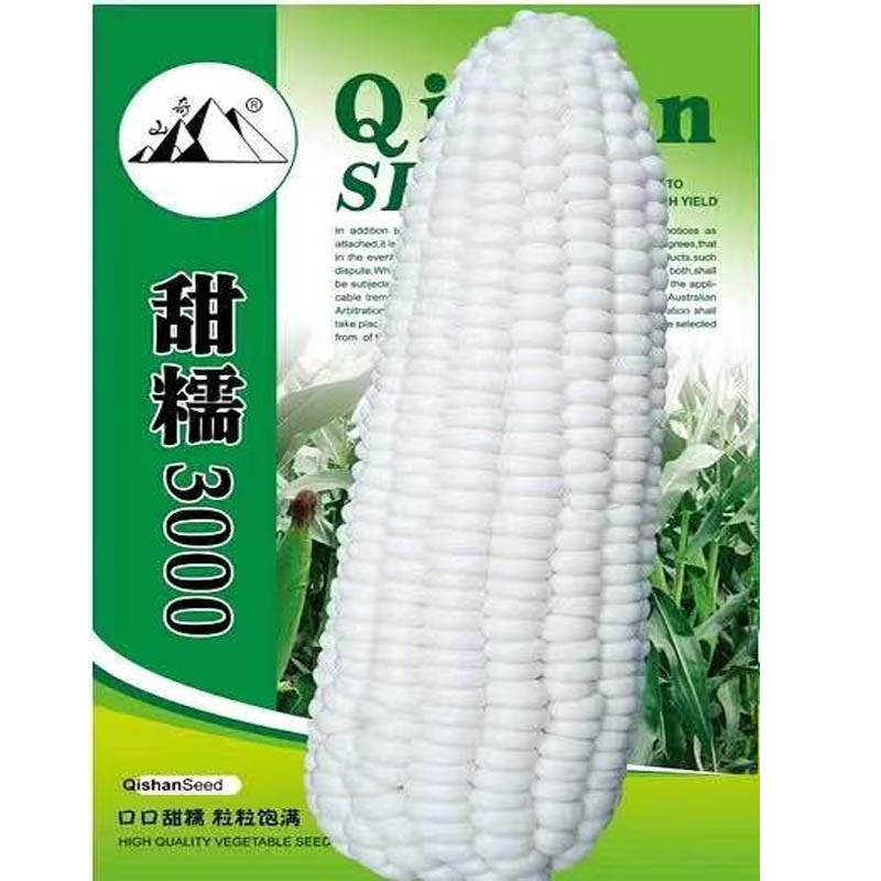 2021年品牌玉米种子及价格 四川盛琪种子甘公司销售白色甜加糯玉米种子