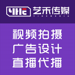 大连艺禾传媒商标logo标志设计企业VI升级电脑图文设计